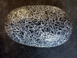 der gleiche Stein in feuchtem Zustand