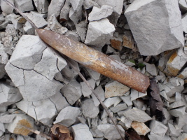 Belemnite in Fundzustand