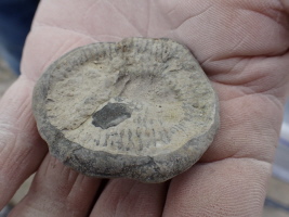 leider nicht mein Fund