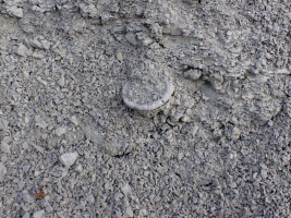 Fundzustand an der Wand