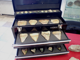Z&auml;hne in allen Gr&ouml;&szlig;en