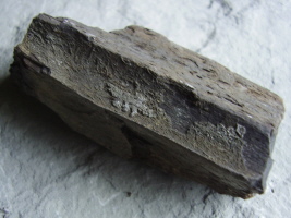 fossiles Holz fossiles Holz