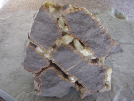 Septarie mit Calcit auf Siderit Septarie mit Calcit auf Siderit