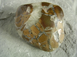 Septarie aus Buttenheim